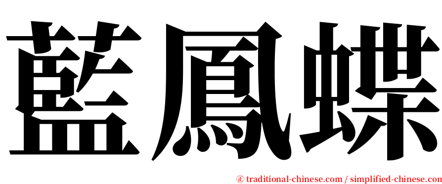 藍鳳蝶 serif font