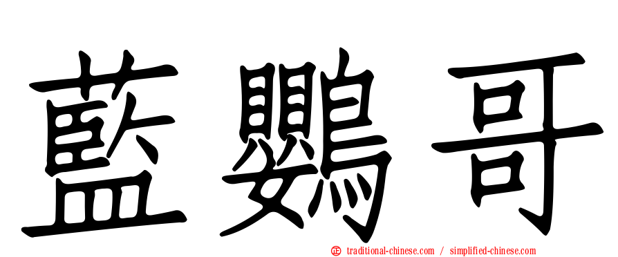 藍鸚哥