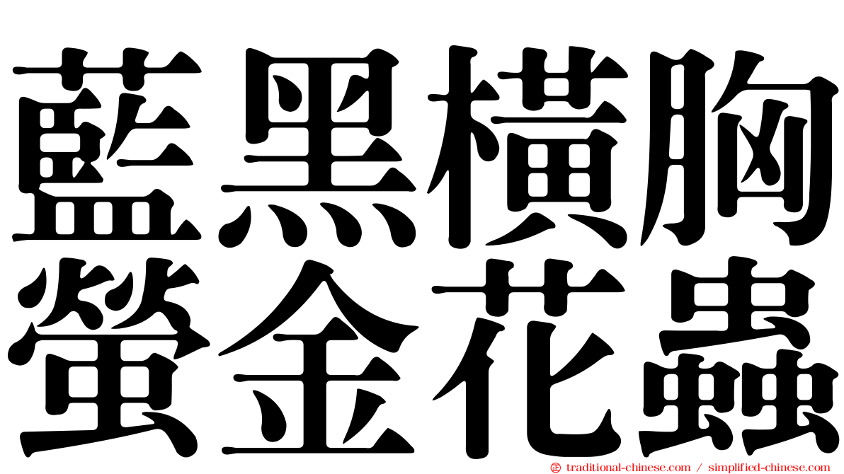 藍黑橫胸螢金花蟲