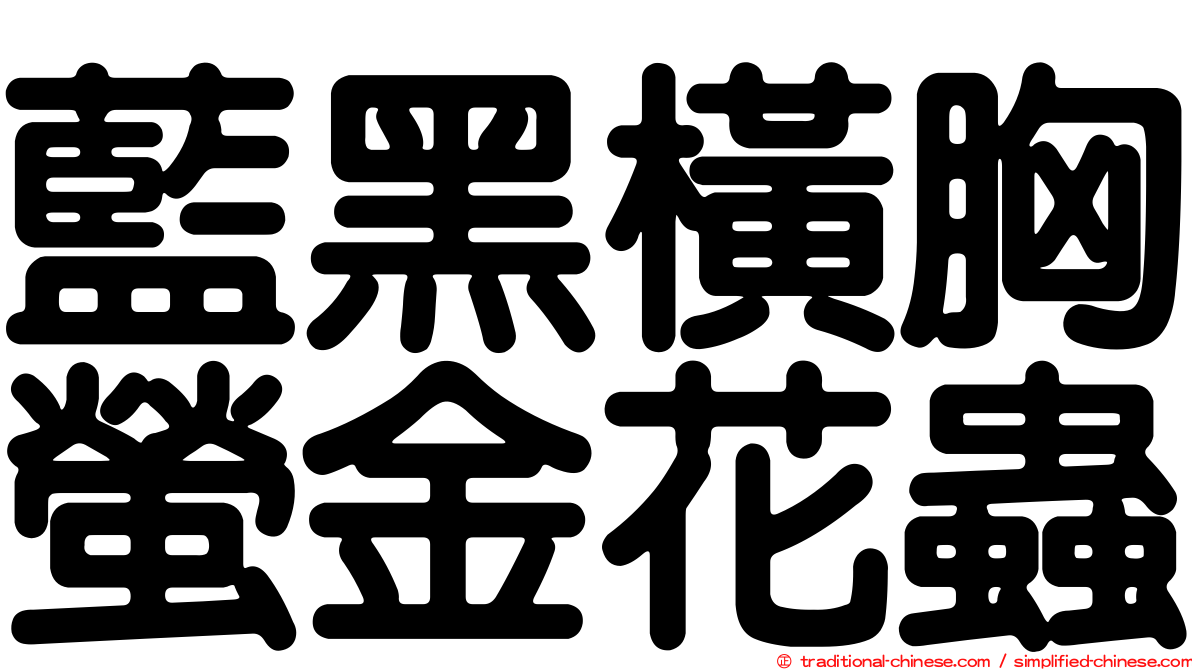 藍黑橫胸螢金花蟲
