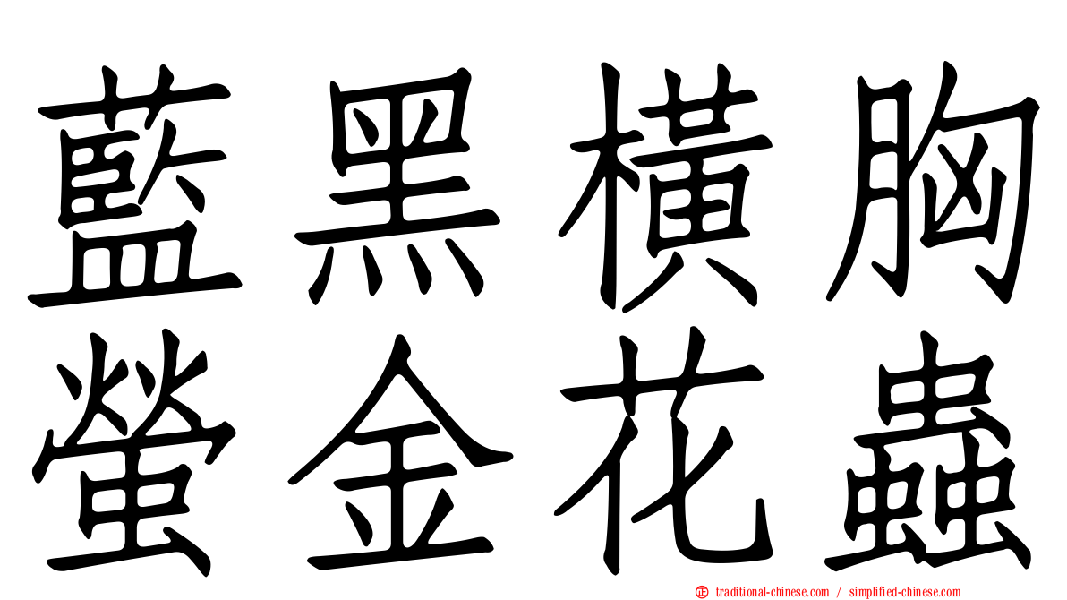 藍黑橫胸螢金花蟲