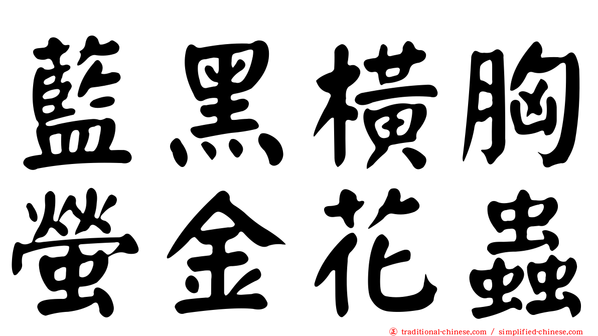 藍黑橫胸螢金花蟲