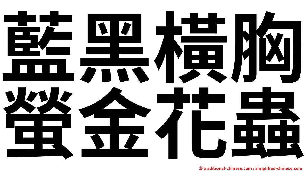 藍黑橫胸螢金花蟲