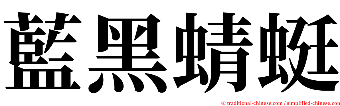 藍黑蜻蜓 serif font