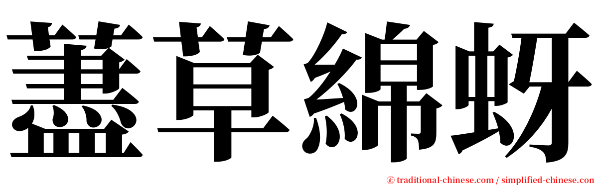 藎草綿蚜 serif font