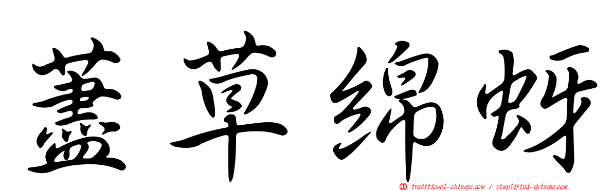 藎草綿蚜