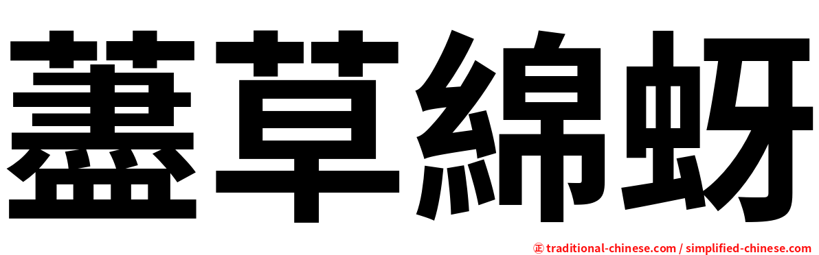 藎草綿蚜