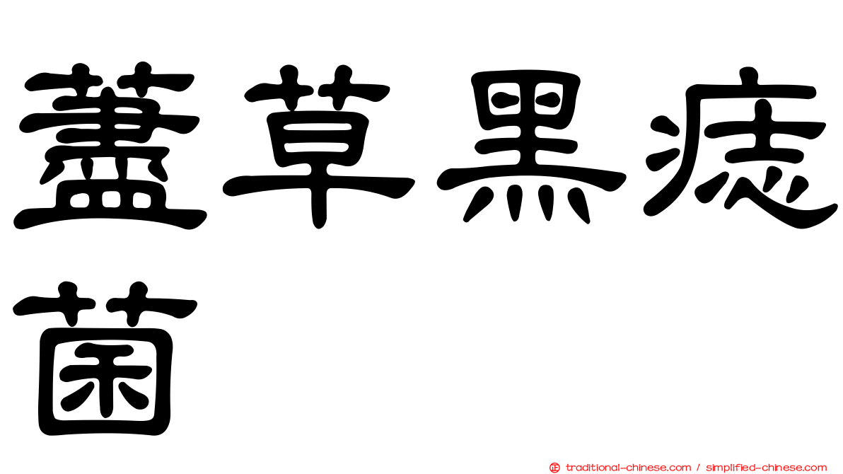 藎草黑痣菌