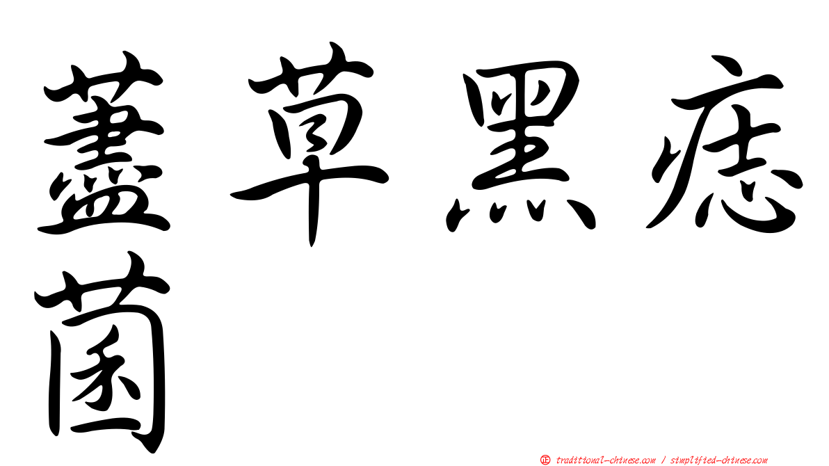 藎草黑痣菌