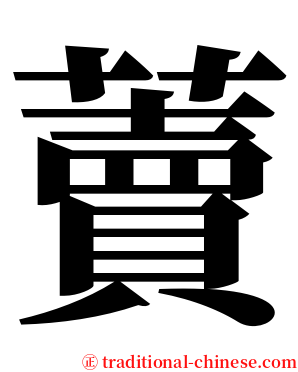 藚 serif font