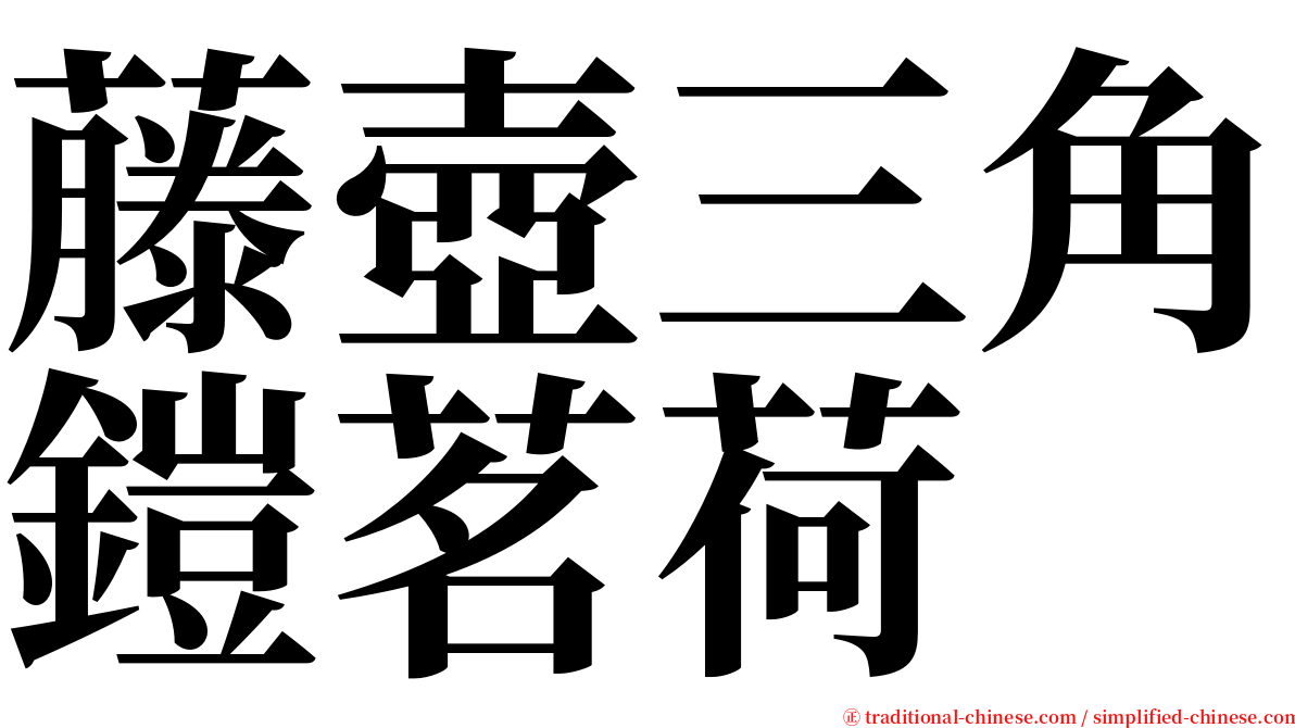 藤壺三角鎧茗荷 serif font