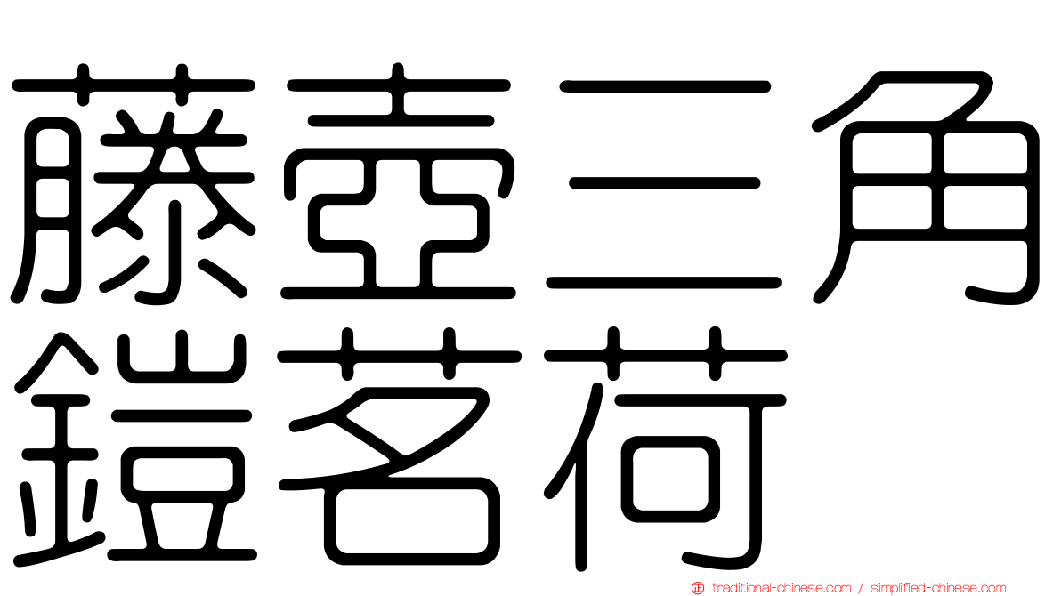 藤壺三角鎧茗荷