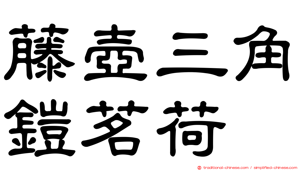 藤壺三角鎧茗荷