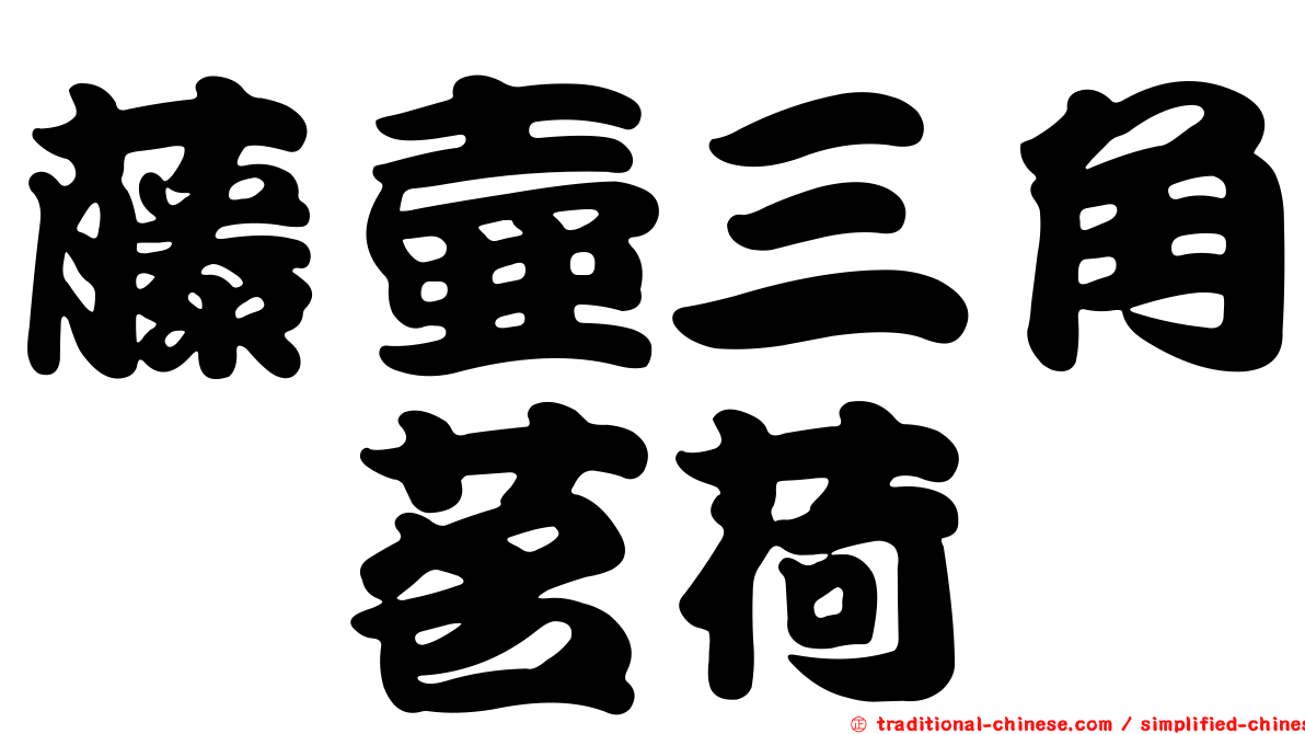 藤壺三角鎧茗荷