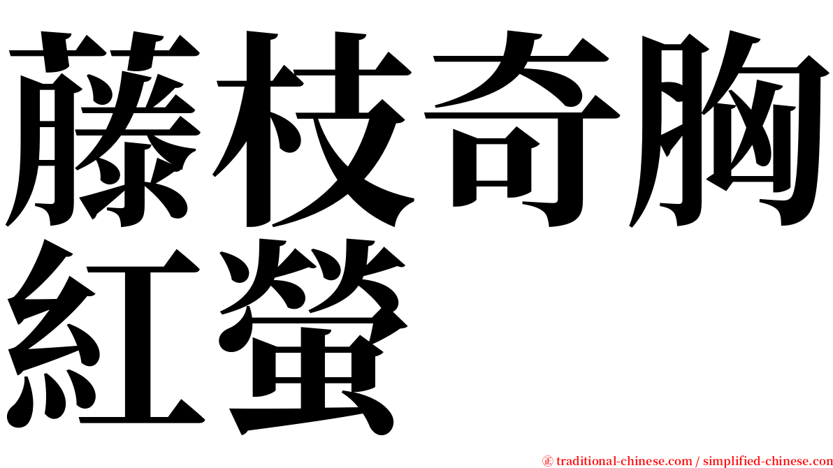 藤枝奇胸紅螢 serif font