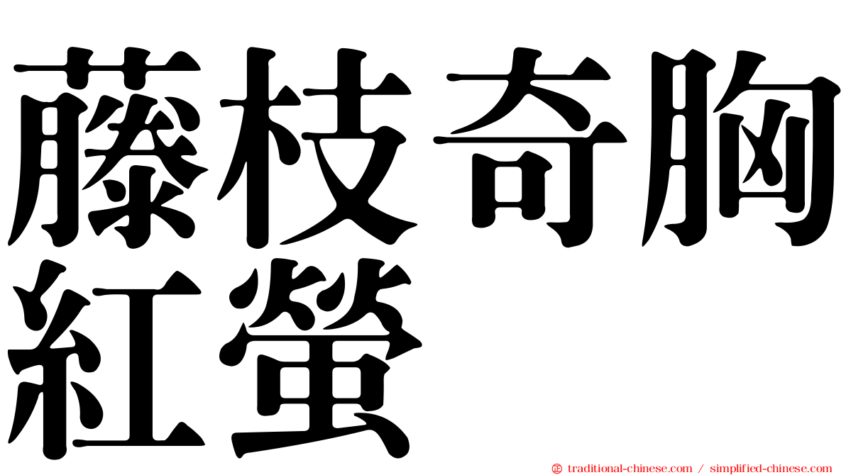 藤枝奇胸紅螢