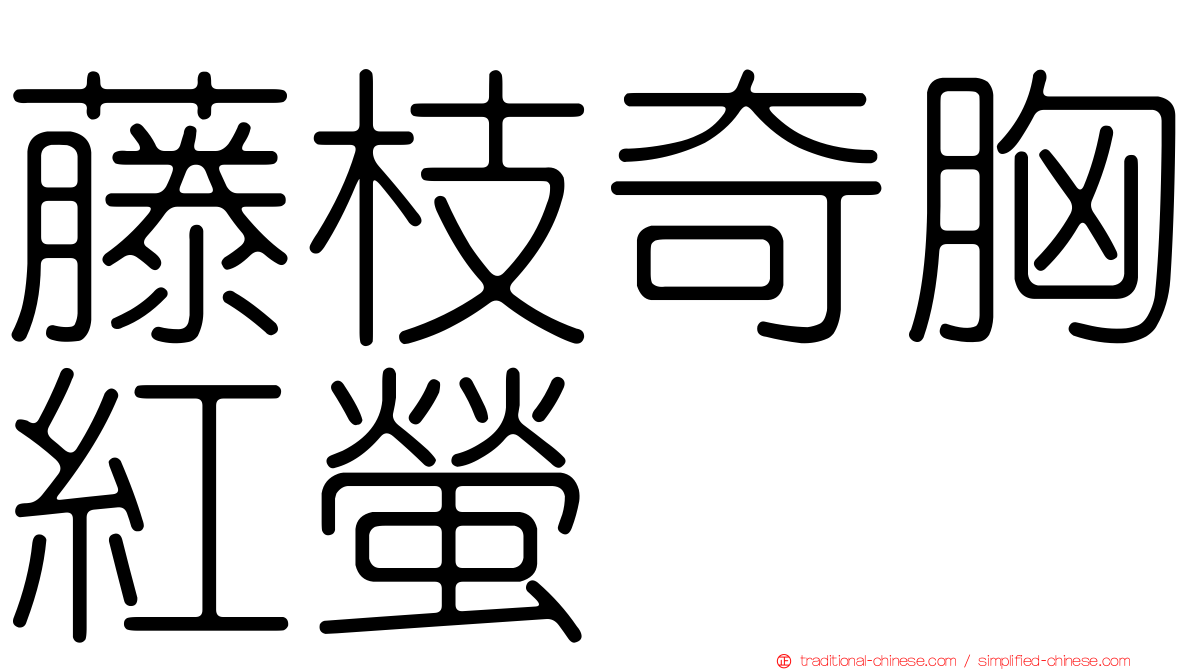 藤枝奇胸紅螢