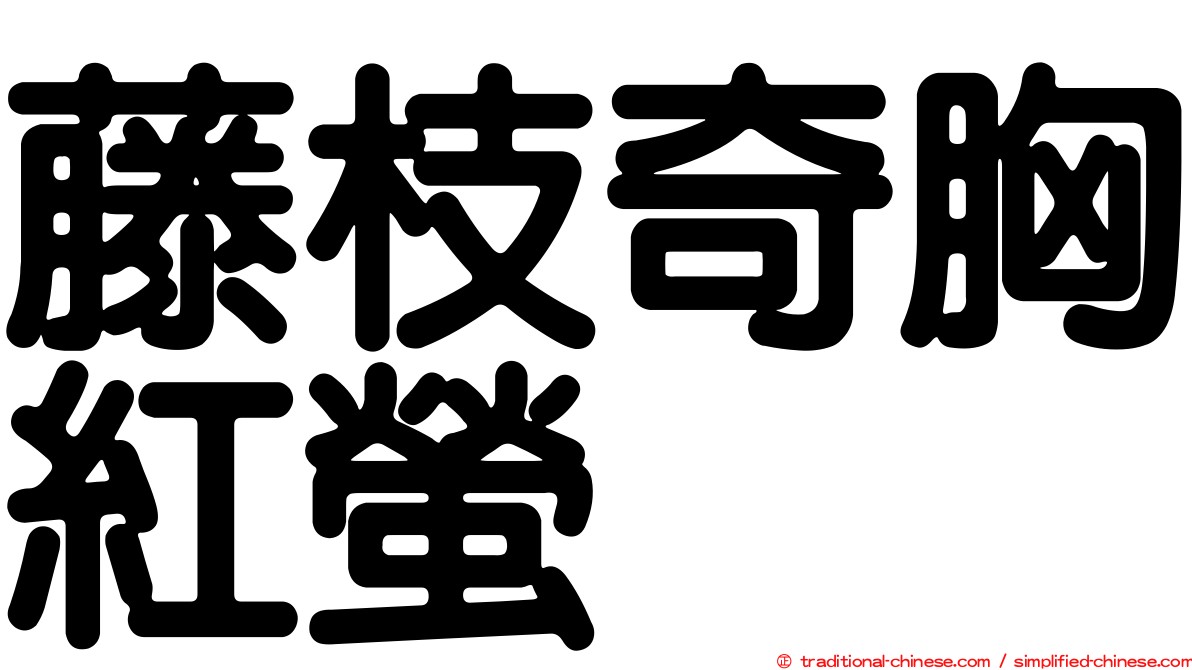 藤枝奇胸紅螢