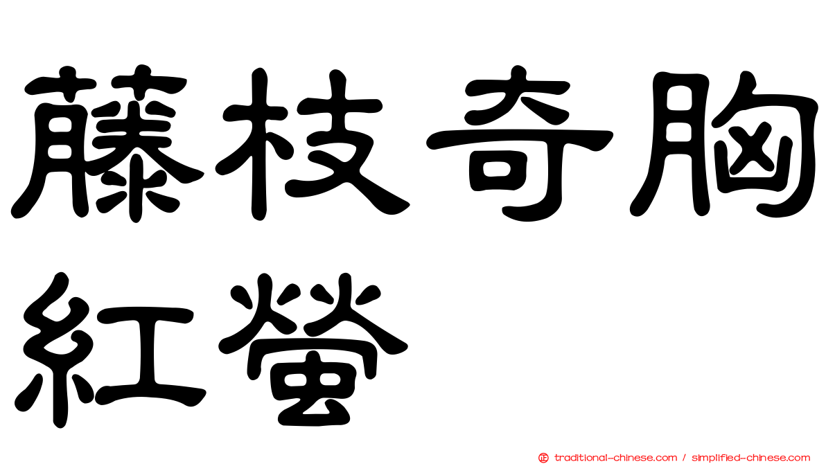 藤枝奇胸紅螢