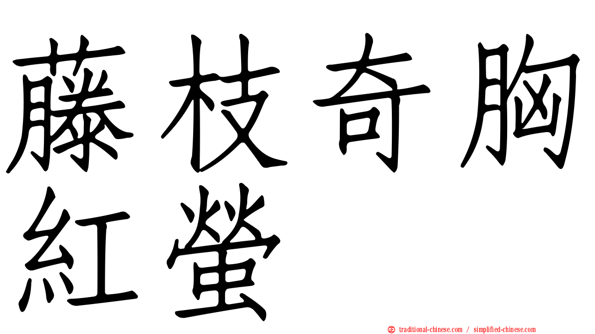藤枝奇胸紅螢