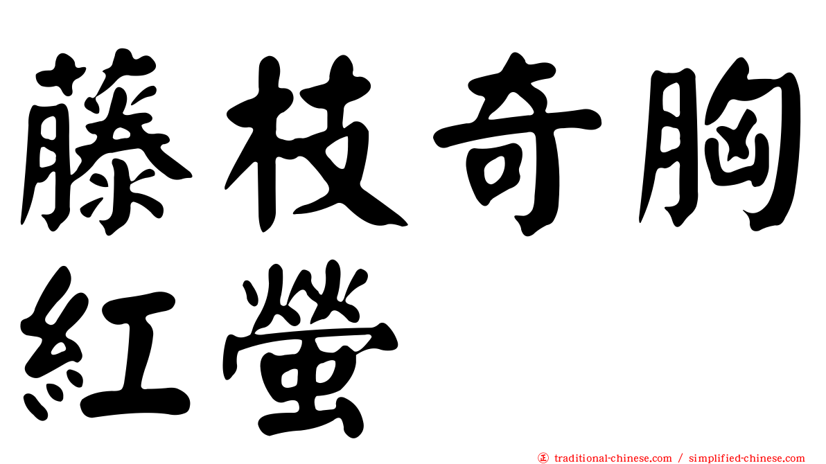 藤枝奇胸紅螢