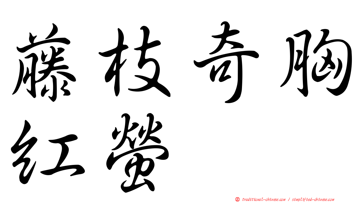 藤枝奇胸紅螢
