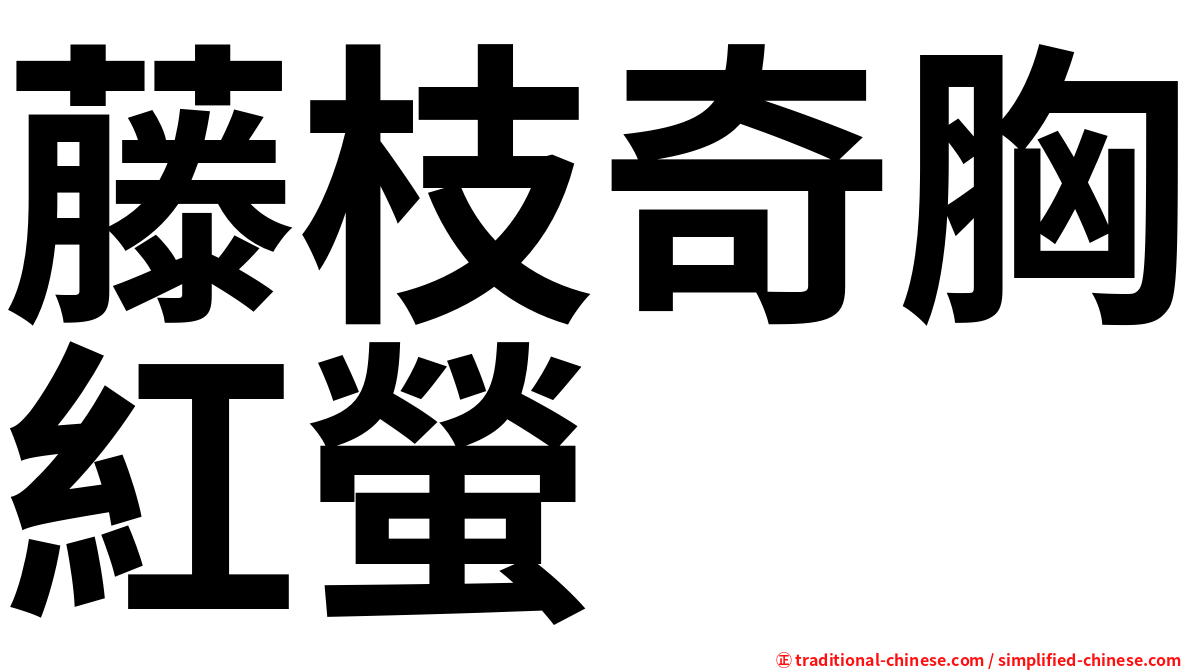 藤枝奇胸紅螢