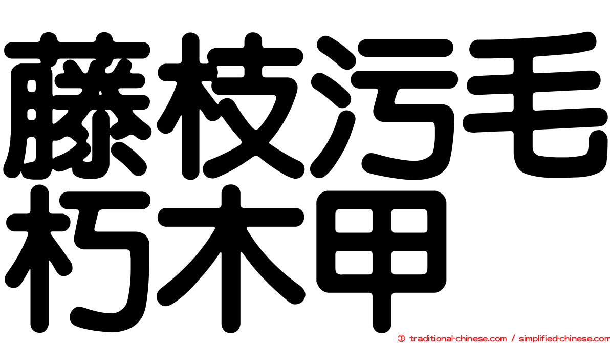 藤枝污毛朽木甲