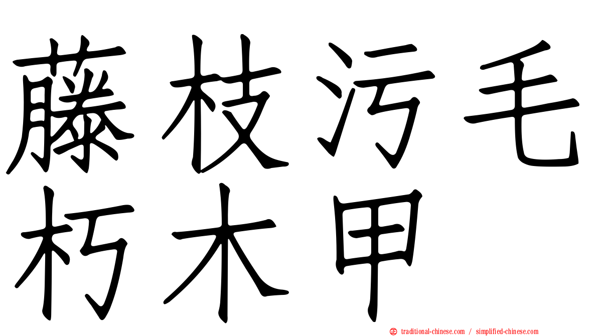 藤枝污毛朽木甲