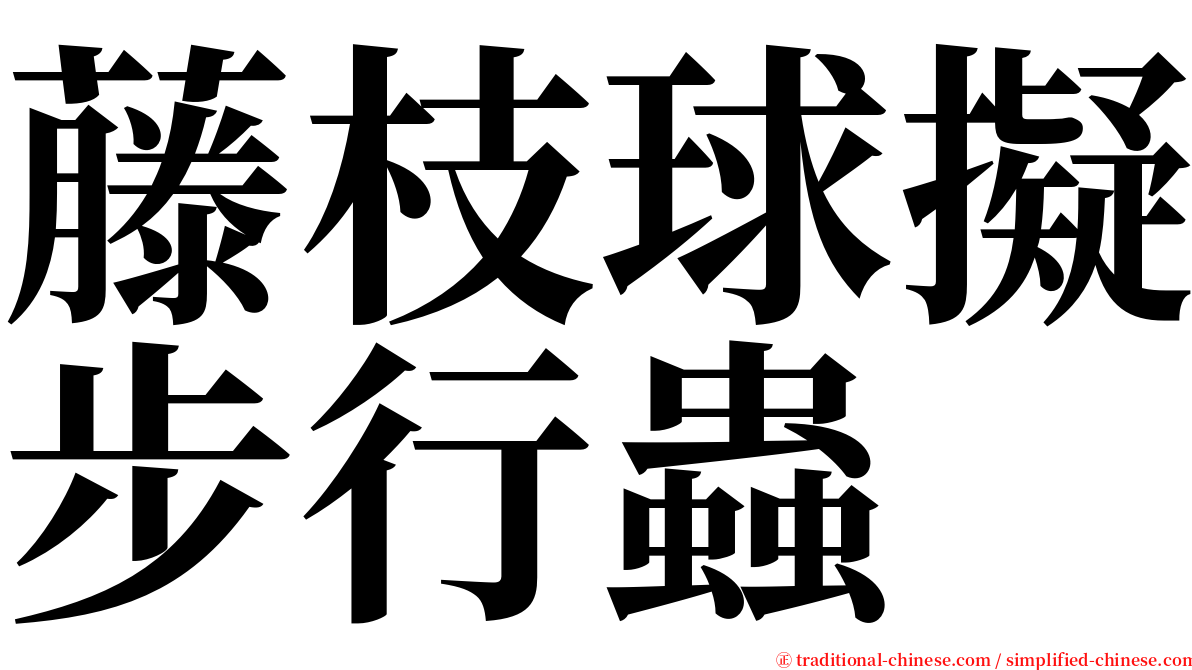 藤枝球擬步行蟲 serif font
