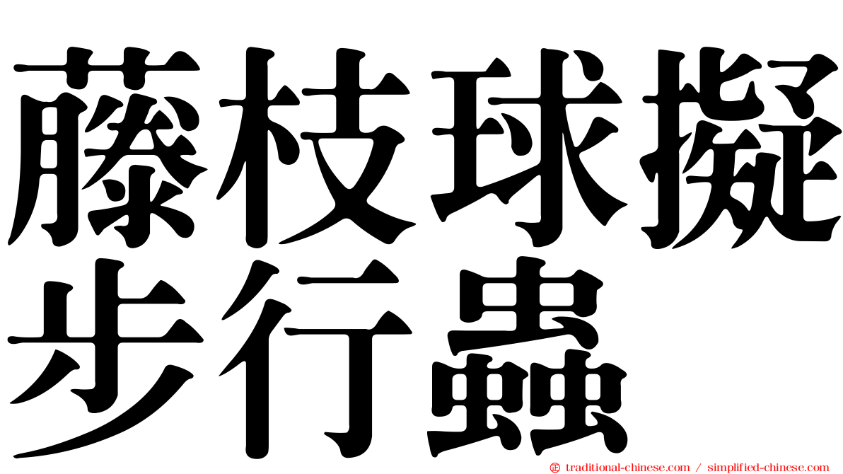 藤枝球擬步行蟲