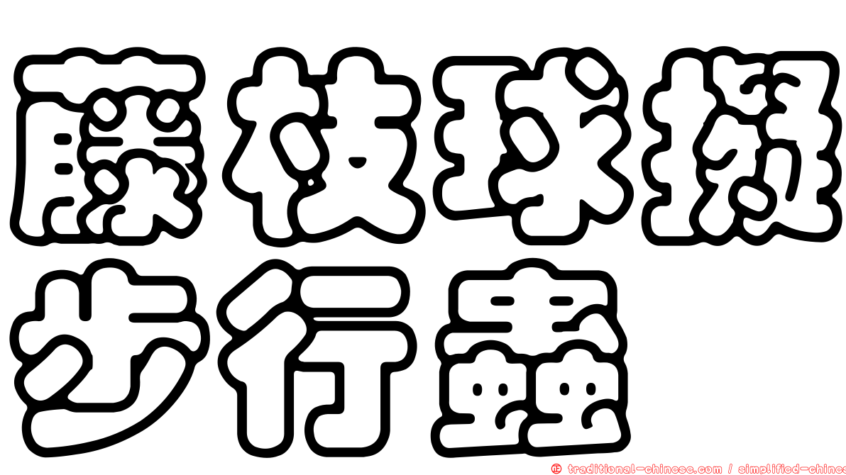 藤枝球擬步行蟲