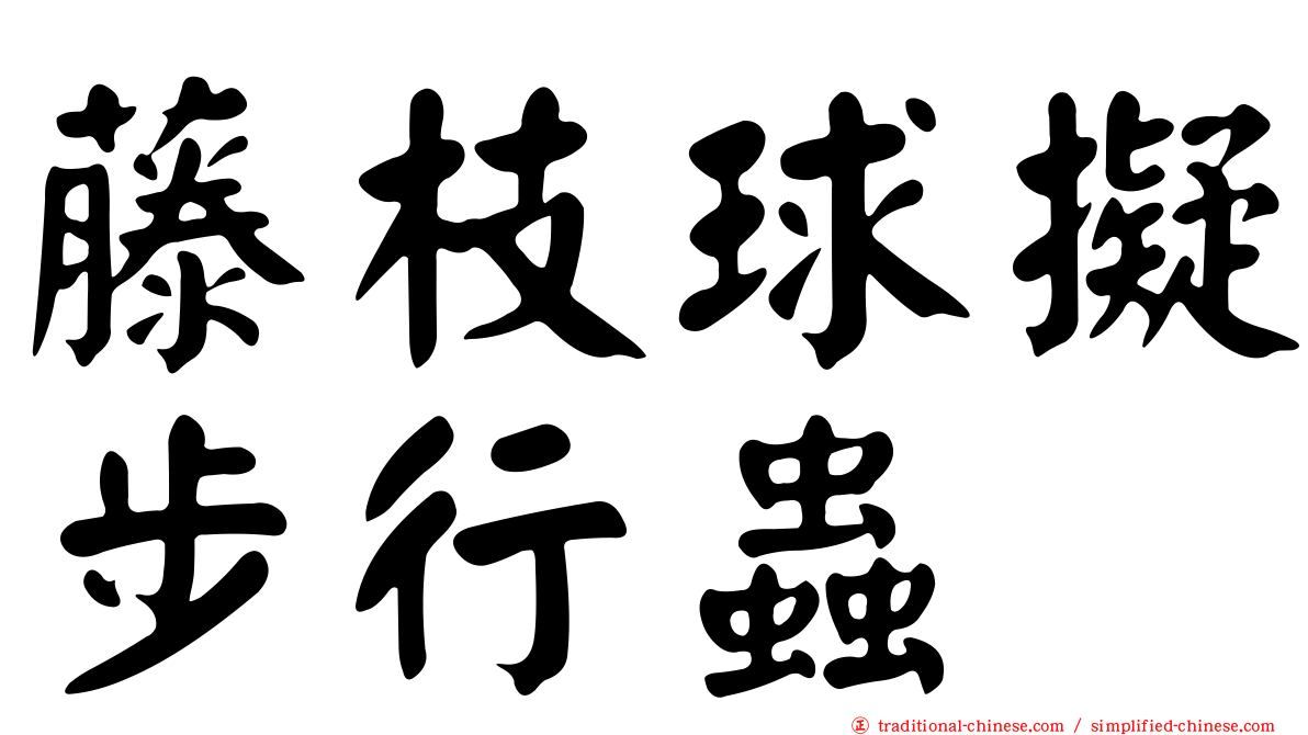 藤枝球擬步行蟲