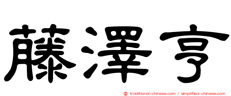 藤澤亨
