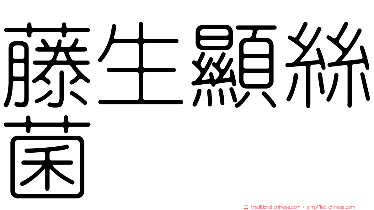 藤生顯絲菌