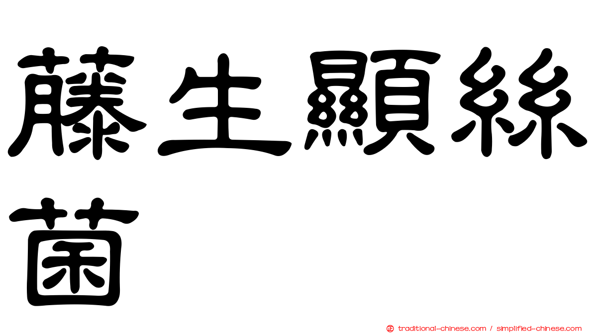 藤生顯絲菌
