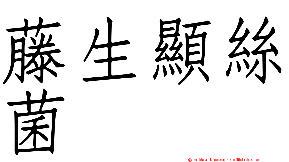 藤生顯絲菌