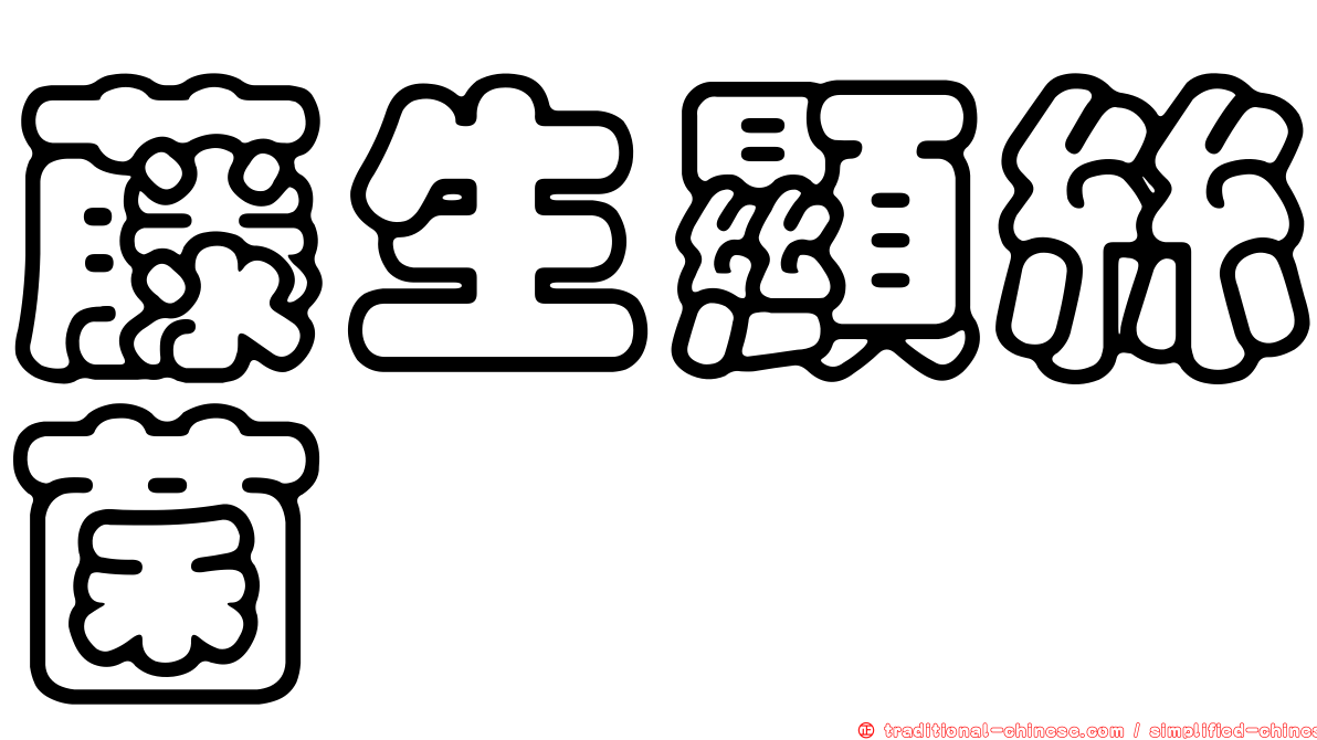 藤生顯絲菌