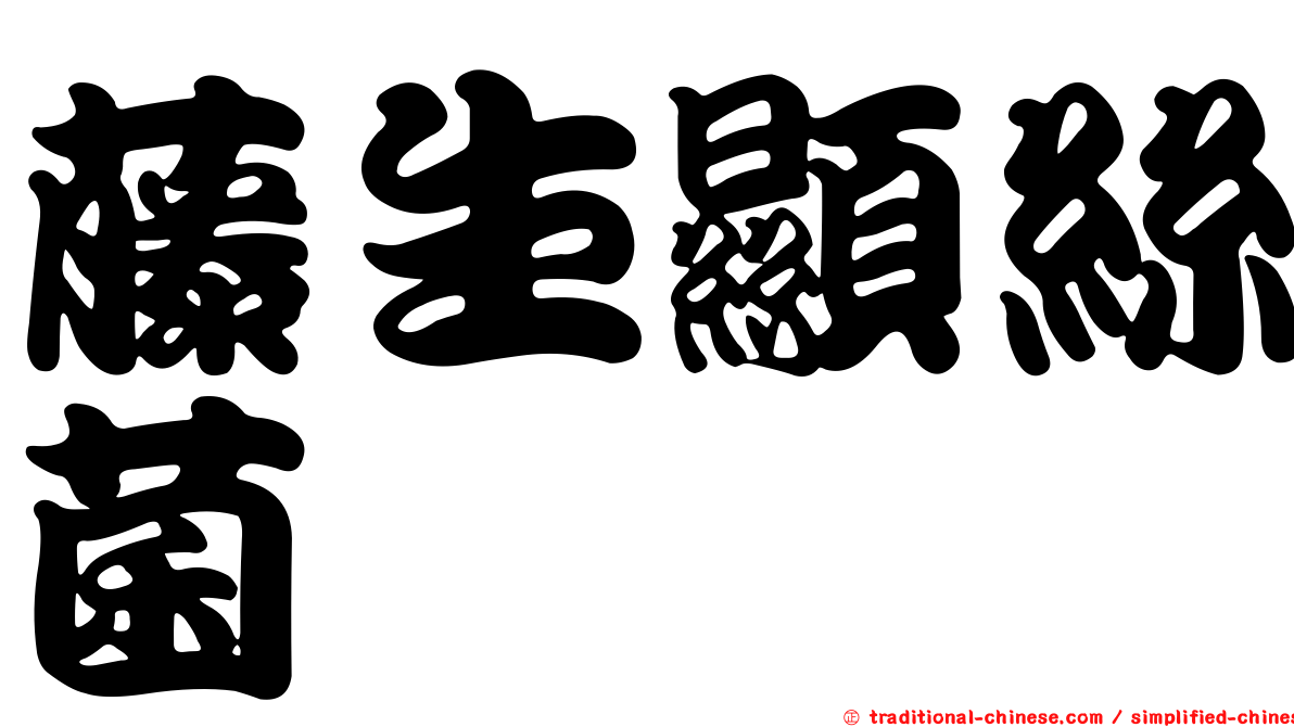 藤生顯絲菌