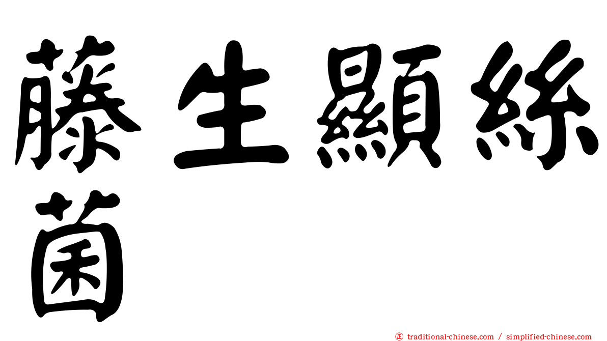 藤生顯絲菌