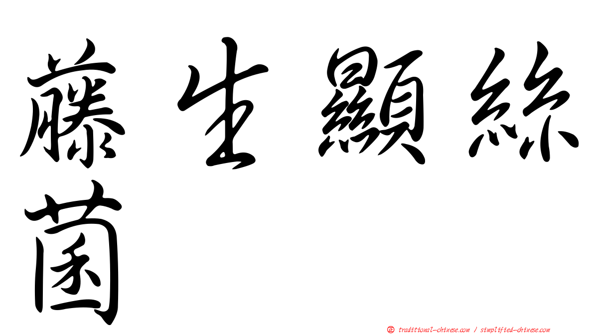 藤生顯絲菌