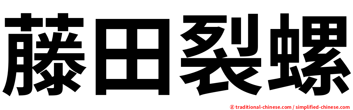 藤田裂螺