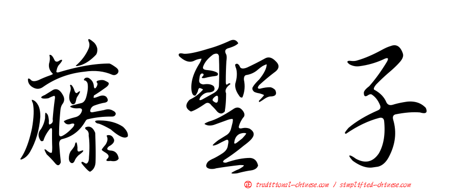 藤聖子