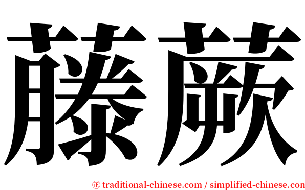 藤蕨 serif font