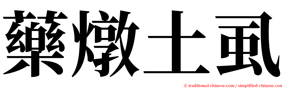 藥燉土虱 serif font