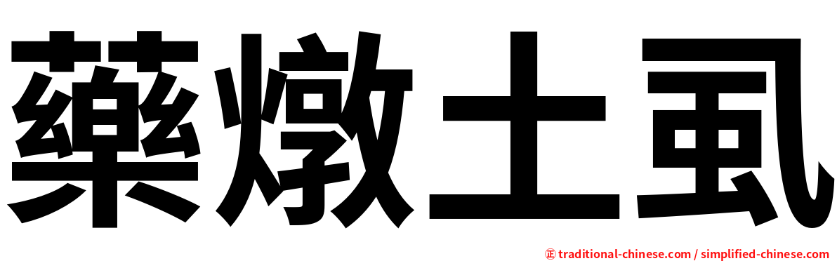 藥燉土虱