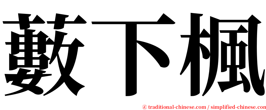 藪下楓 serif font