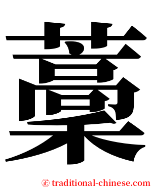藳 serif font
