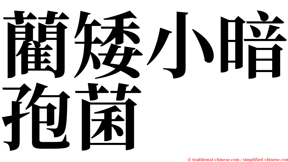 藺矮小暗孢菌 serif font