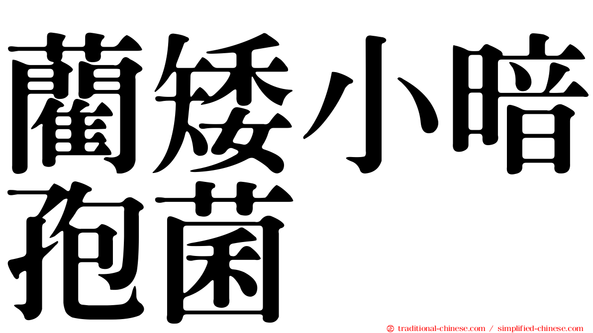 藺矮小暗孢菌